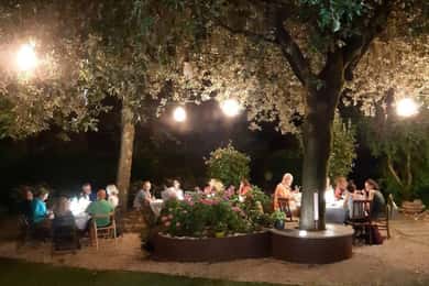 Besök på ekologiskt vineri med vin- och matprovning nära Bologna