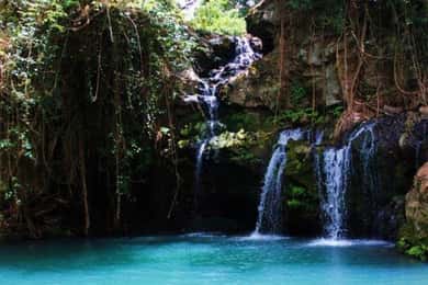 Nanyuki : Ngare Ndare Day Trip