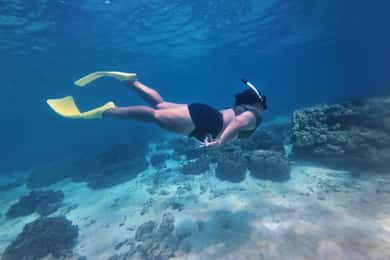 Koh Lipe: tour en barco con snorkel para temporada baja