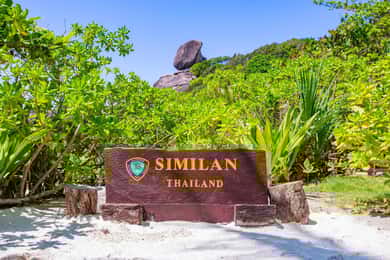 Da Khao Lak: Gita di snorkeling alle Isole Similan con pranzo