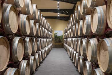 Visita y cata de vinos Premium en Duca di Salaparuta