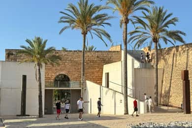 Palma di persona e lontano dalla folla