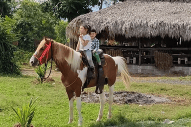 Santo Domingo: Cavalgadas - Transporte de ida e volta
