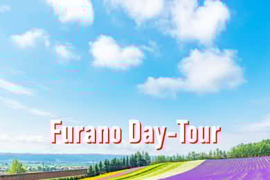 From Sapporo: 10-hour Customized Private Tour to Furano