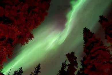 Whitehorse: Aurora Viewing with Wild Adventure Yukon
