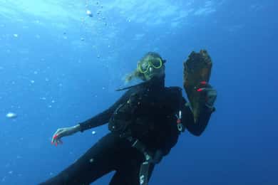 Professional Diving & Blue Cave Tour with Lunch from Split