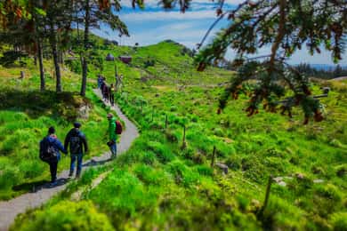Ontdek Haugesund en bezoek een lokale bergboer