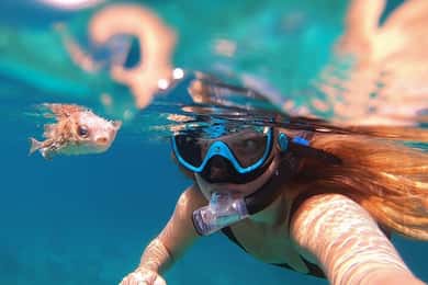 Muscat: tour di snorkeling con le tartarughe alle isole Daymaniyat