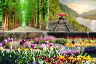 Seoul: Nami Island and Garden of Morning Calm (+Railbike)