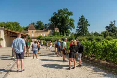 Bordeaux: Vineyards Wine Tasting Half-Day Trip