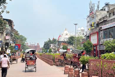 Delhi: Private Chandni Chowk, Food Tasting, & Tuk-Tuk Tour