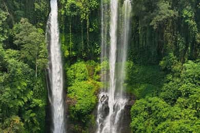Norte de Bali: Cachoeiras de Sekumpul e Banyumala e terraço de arroz