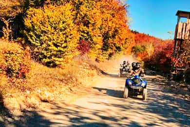 Quad bike tour Lake Constance 2 hours