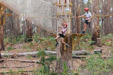 Pemberton: 1 Hour Explorer Pass with Ziplines and High Ropes
