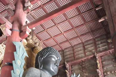 NARA: Budda gigante, Cervi liberi nel parco (Guida italiana)