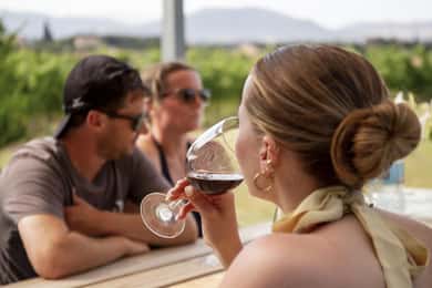 Alcúdia/Can Picafort: Guidet besök på vingård och vinprovning