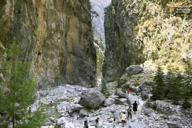 From Panormo or Lavris: Samaria Gorge Hike with Guide