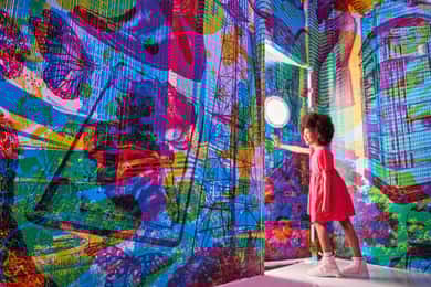 Houston: Color Factory Houston General Admission Ticket