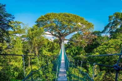 Iquitos: Tour de día completo en la selva | Safari Amazónico