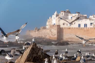 Essaouirra traslado privado desde Marrakech