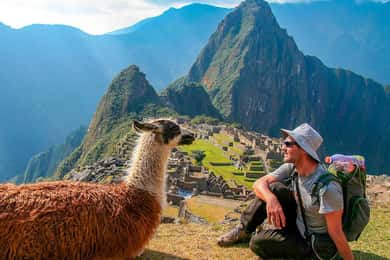 Machu Picchu: 1-day tour by Vistadome Panoramic train