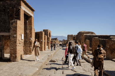 Naples: Pompeii & Herculaneum Tour w/Lunch and Wine Tasting
