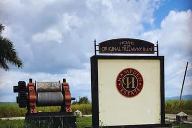 Excursão a Falmouth: Visita a Hampden Estate Rum Tasting Tour