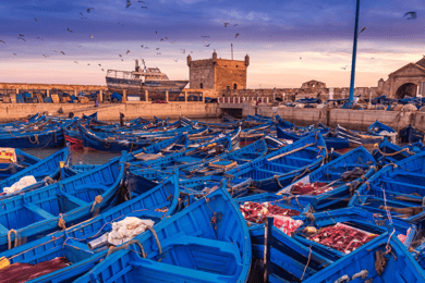 From Marrakesh: Essaouira Full-Day Trip