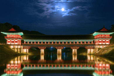 From Busan: Gyeongju UNESCO Legacy Tour with Night View