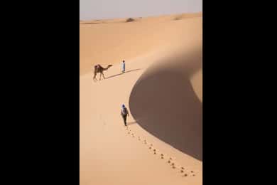 Mauritania: 10-Day From the Desert to the Atlantic Ocean