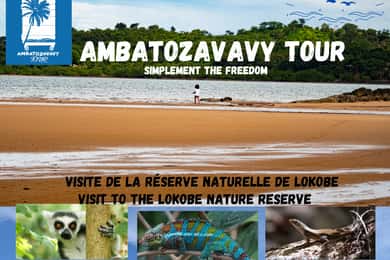 Ausflug in die Fauna und Flora von Lokobe