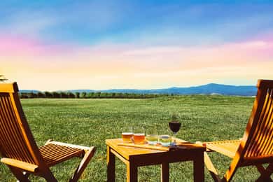 Yarra Valley Wine Tour with Choc & Lunch - Gin/Beer Option