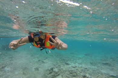 Snorkeling Trip To Pigeon Island