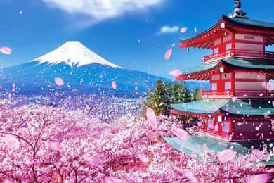 Tokio: Soukromý celodenní výlet na horu Fudži a Hakone s průvodcem