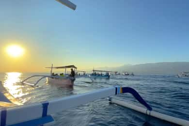 Lovina Dolphin Watching + Swimming with dolphin Private tour