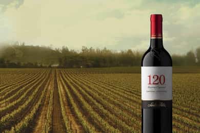 Senzorno putovanje: Posjet vinogradima Santa Rite