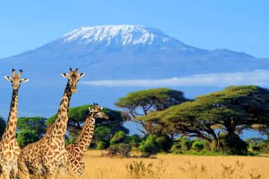 2 Days Amboseli National Park Safari