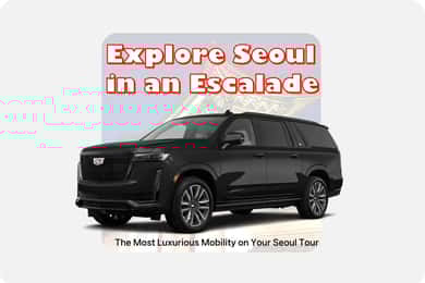 Seoul: Private Luxury Vehicle Tour - English/Spanish guiding
