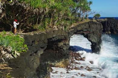 Samoa: National Park Lava Cliffs & Black Sand Beach Day Tour