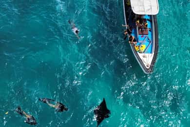 Von Bali aus: Nusa Penida Ganztagestour Private Schnorcheltour