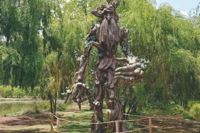 Mystic Cusco | Huasao, Valley of the Goblins, Morada |