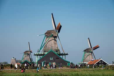 From Amsterdam: Experience Zaanse Schans Windmills & Cheese