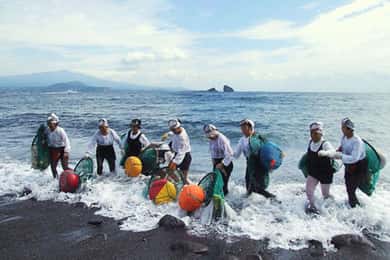 Jeju : circuit UNESCO dans l'est avec spectacle des femmes plongeuses