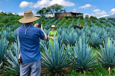 Tequila en Guachimontones: Hele dag privé tour