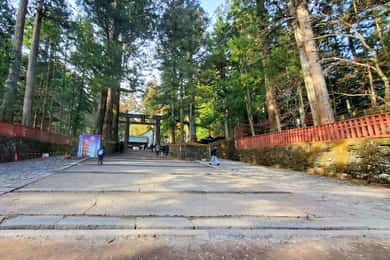 Da Tokyo a Nikko Tour privato con guida in inglese