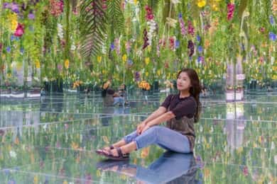 Desde Seúl: Parque de las Begonias, bicicleta sobre raíles y visita a los jardines.