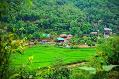 From Hanoi: Mai Châu Valley Day Trip & Cycling & Local Tour