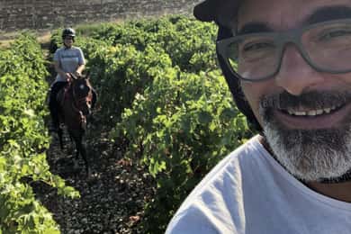 Horseback riding through the olive groves of Sciacca