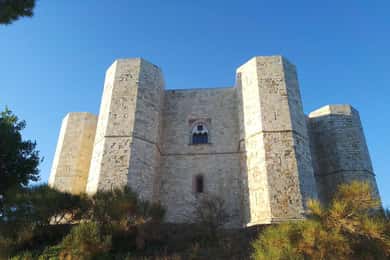 Castel del Monte private tour: The Crown of Italy
