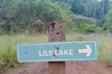 Karura Forest Day Excursion From Nairobi